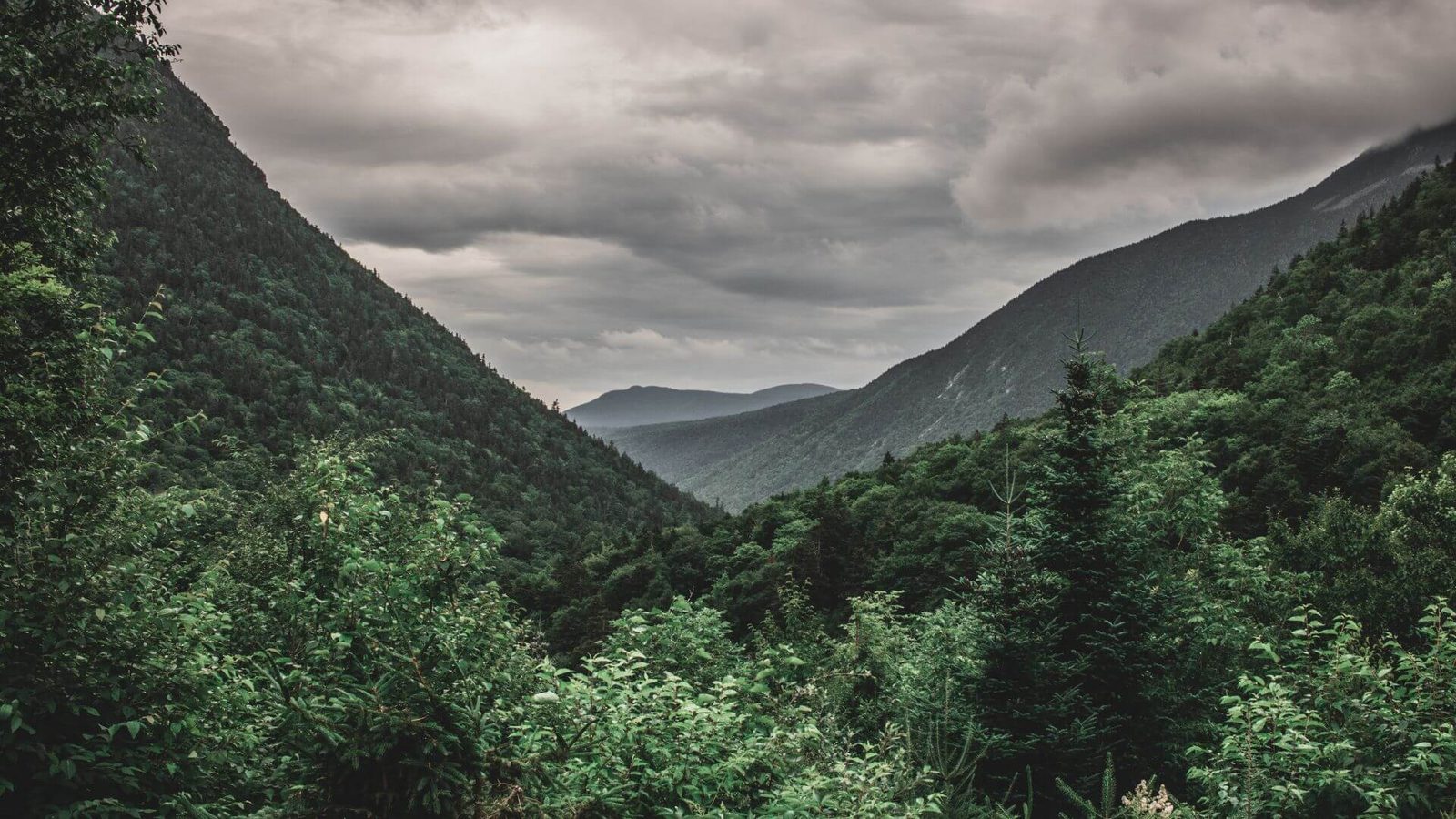 Forested ridges of the White Mountains under heavy cloud